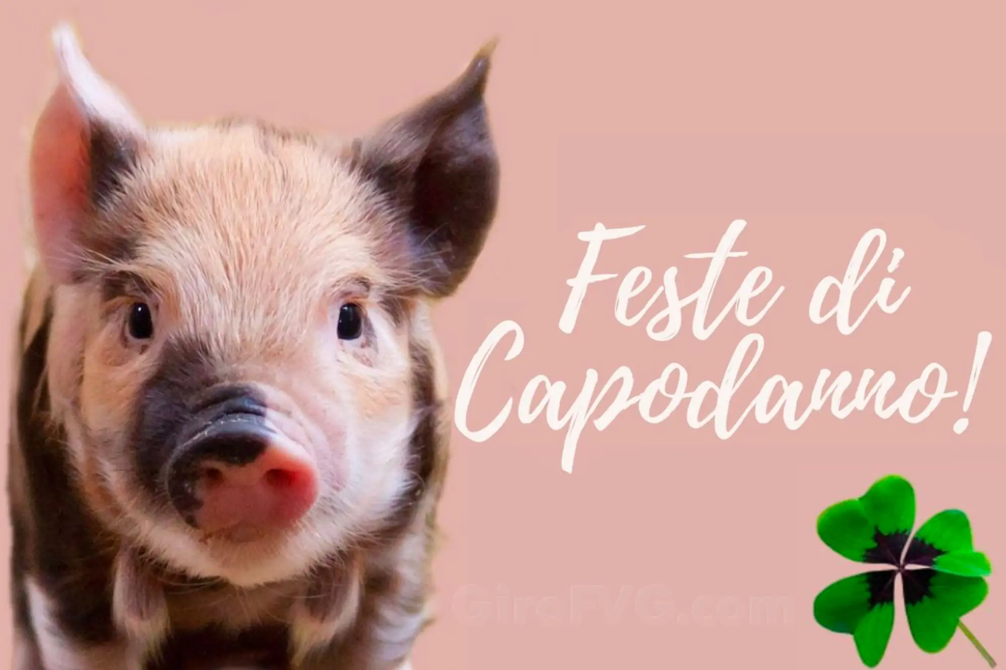 10 Lanterne Volanti Ecologiche In Bambù, Bianche, Per Feste, Natale, Capodanno Cinese, Eventi All'aperto