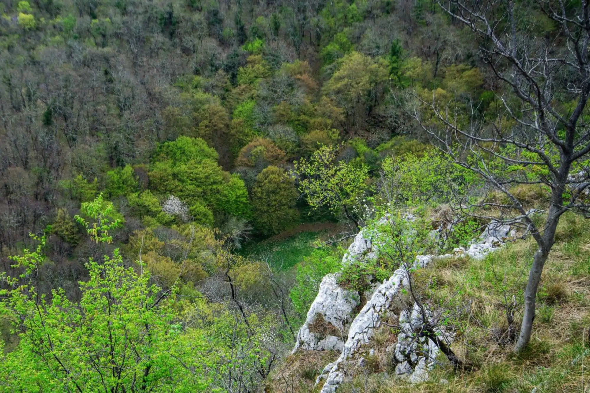 Dolina di Orlek, escursioni naturalistiche ad aprile 2024 con Marco Pascolino