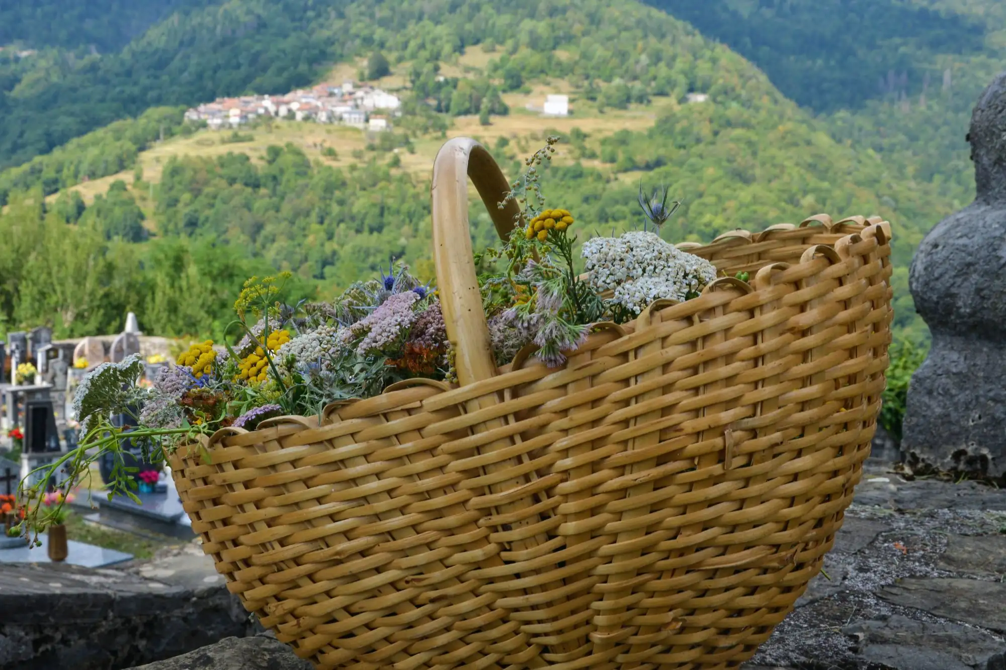 Rožinca a Montemaggiore lantica tradizione della benedizione dei mazzi di erbe aromatiche