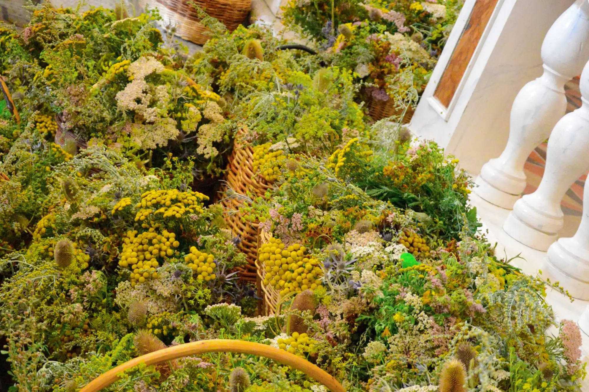 Rožinca a Montemaggiore lantica tradizione della benedizione dei mazzi di erbe aromatiche