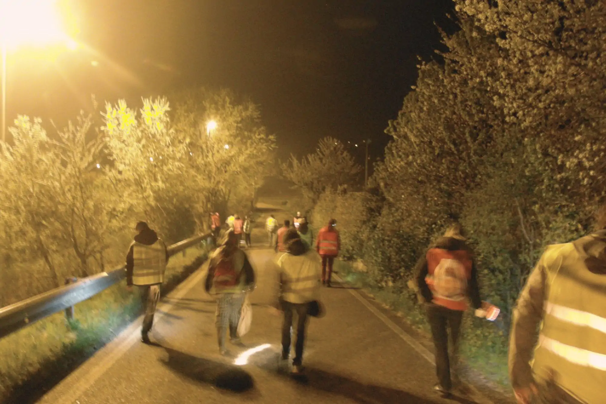 Volontari Tutori Stagni FVG durante attività notturna di salvataggio anfibi a Basovizza nel Carso triestino