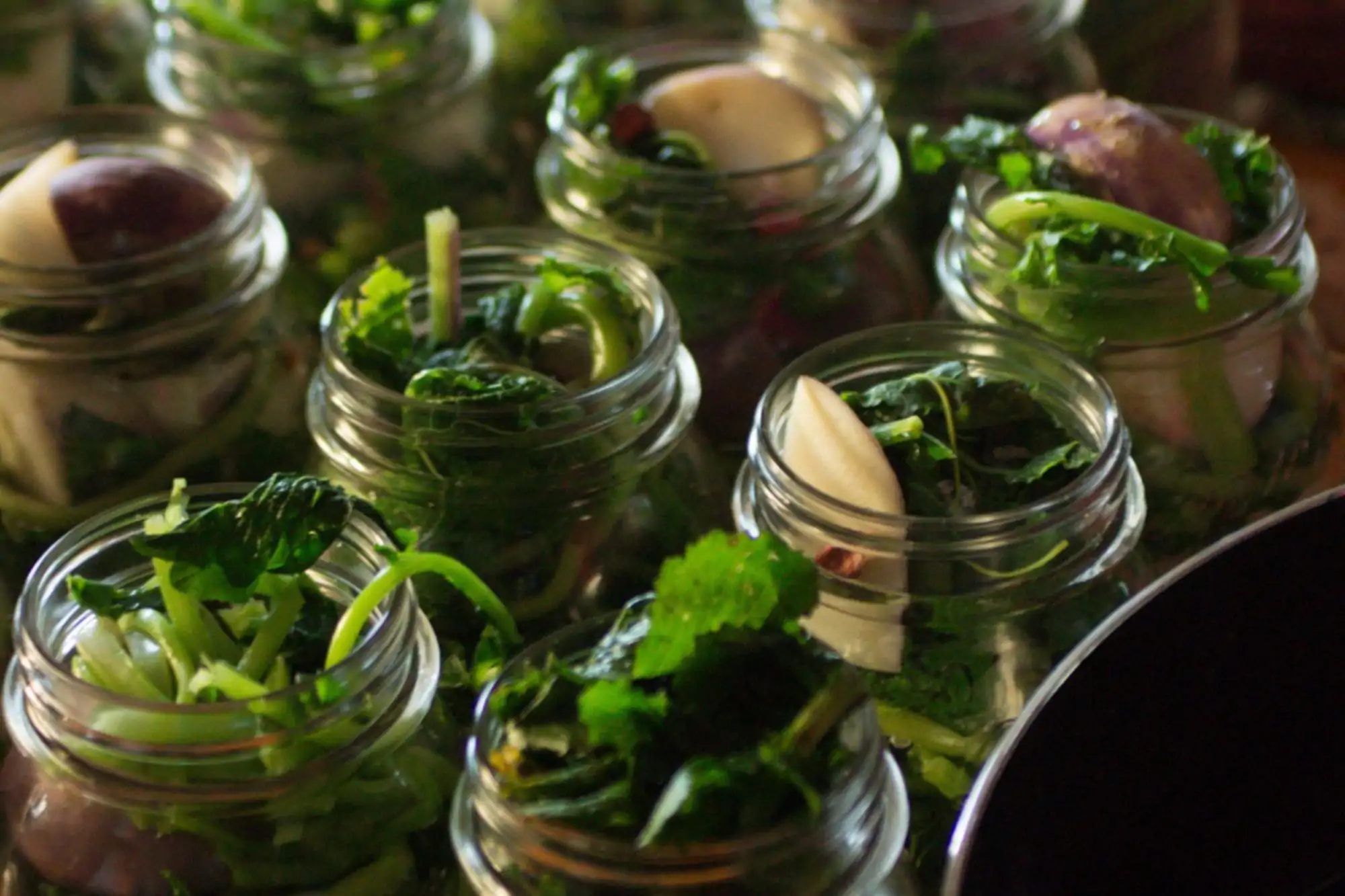 Festa del Pestith e dei fermentati, per esplorare le delizie enogastronomiche di Barcis