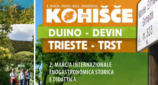marcia kohišče 2016