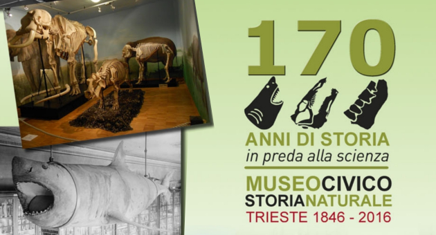 170 anni museo storia naturale trieste