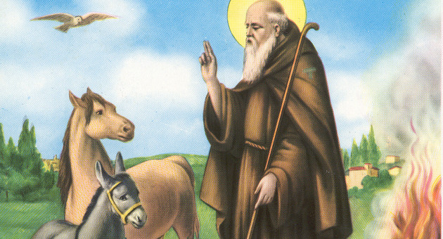 sant'antonio abate_feste_b
