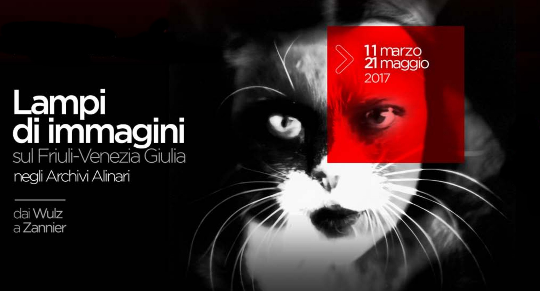 alinari lampi_immagini