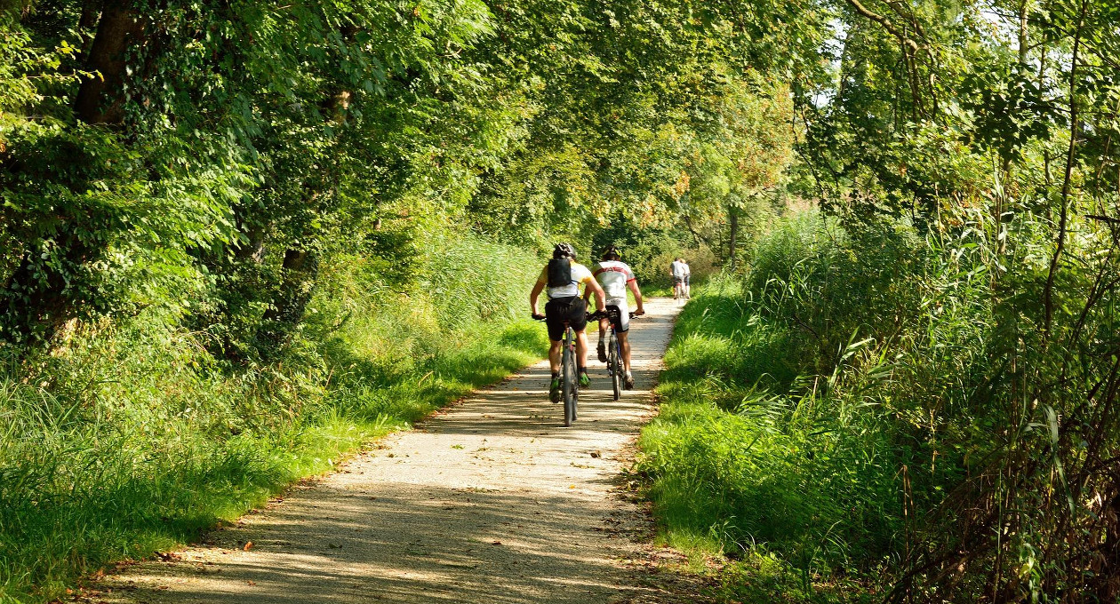 ciclisti cicloturismo bici ciclismo