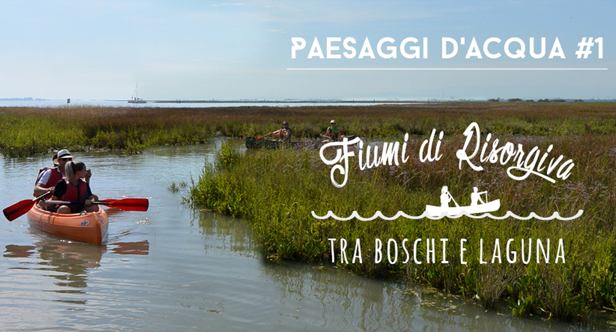 paesaggi dacqua 1 forest