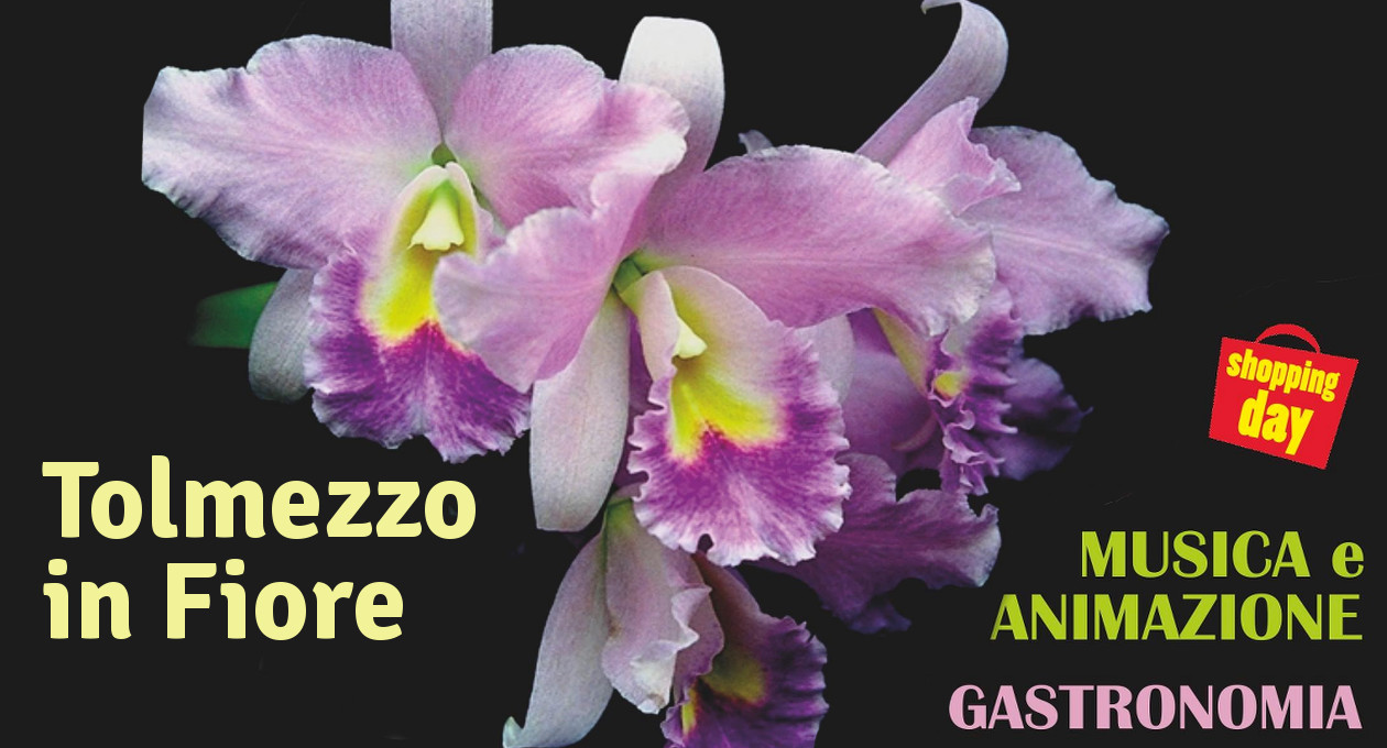 tolmezzo in fiore