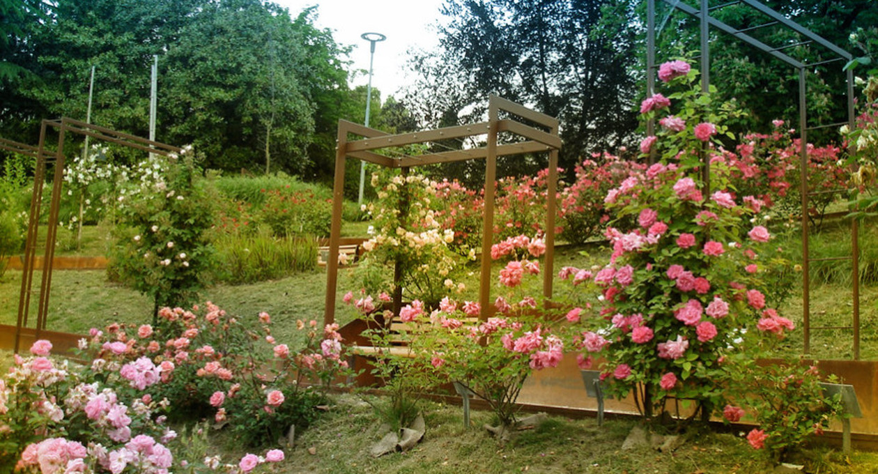 pordenone parco galvani mira roseto
