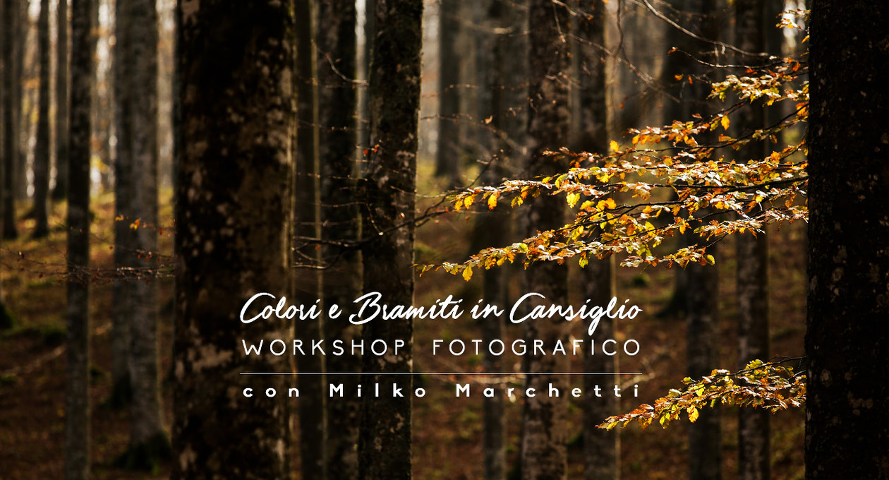 33-Event_WSMilko