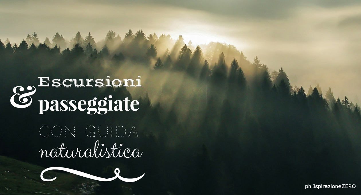 Studio ForEst escursioni e passeggiate con guida naturalistica