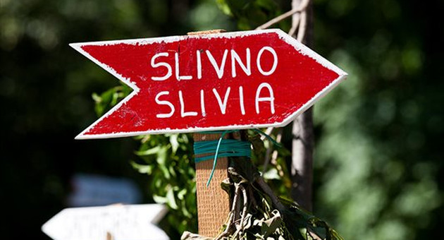 osmiza_segnale