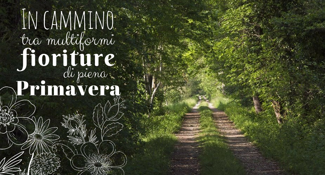 ForEst piena primavera