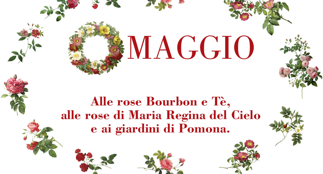 cordovado omaggio alle rose