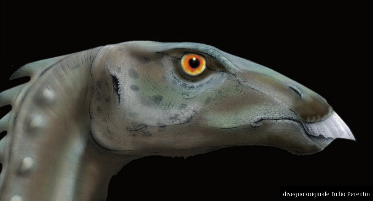 dinosauro antonio_disegno originale Tullio Perentin