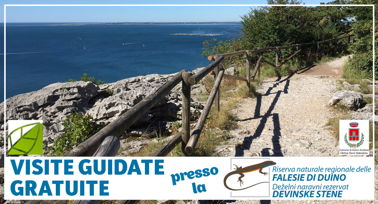 duino_visite guidate riserva falesie 2