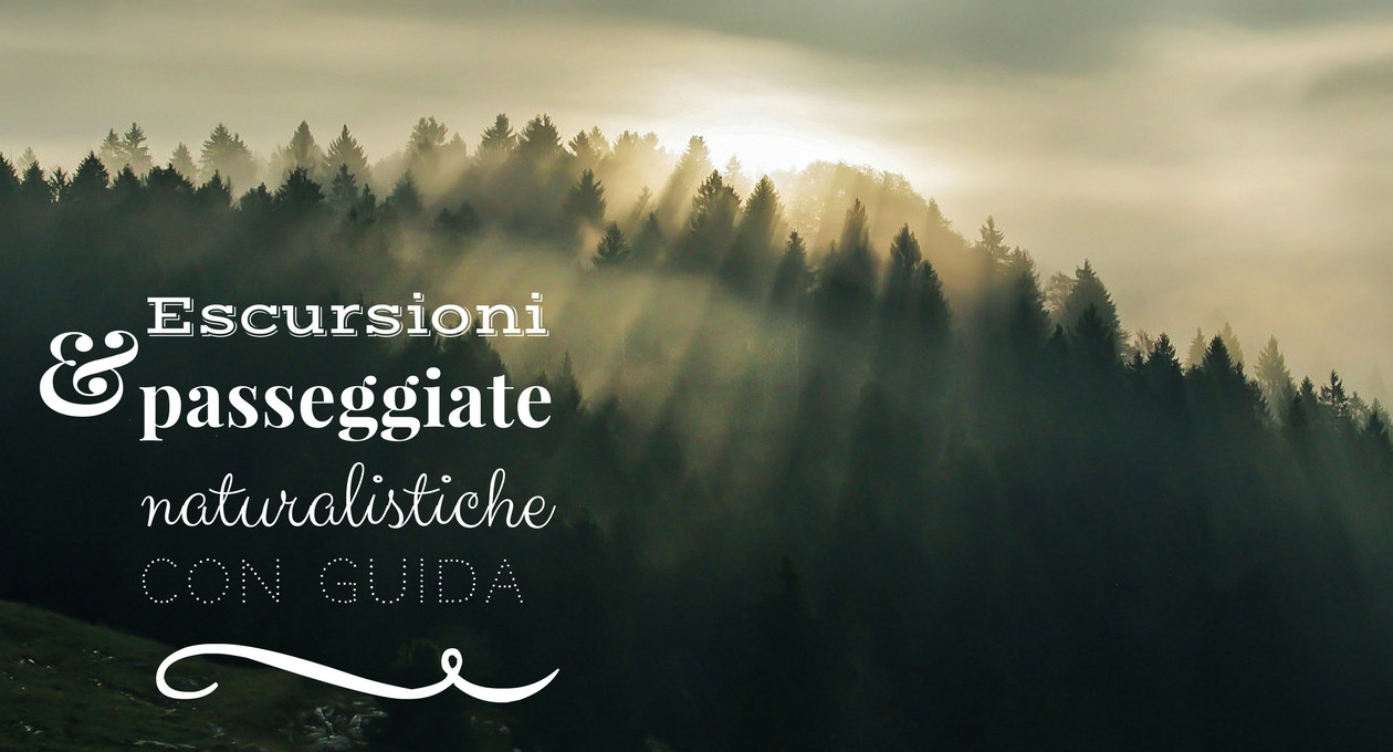 Studio-ForEst-escursioni-e-passeggiate-naturalistiche-con-guida