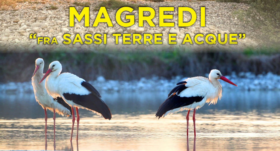 magradi vaccher
