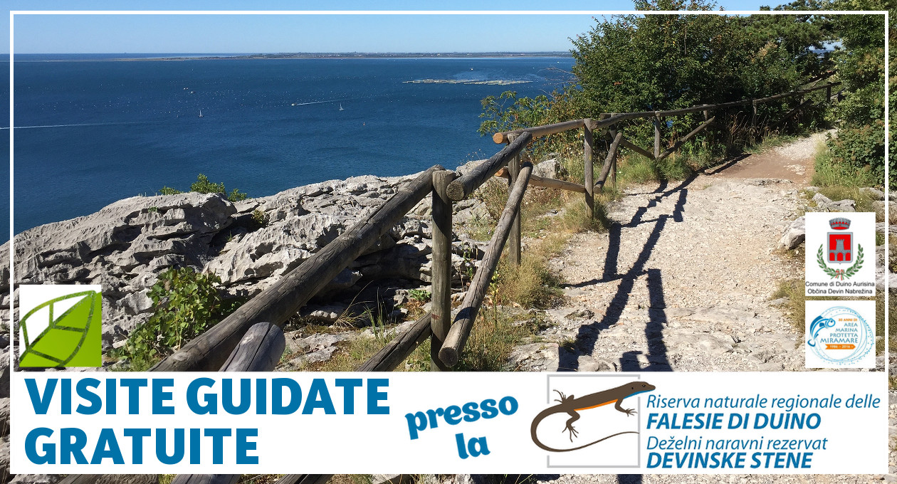 duino_visite guidate riserva falesie comune-wwf