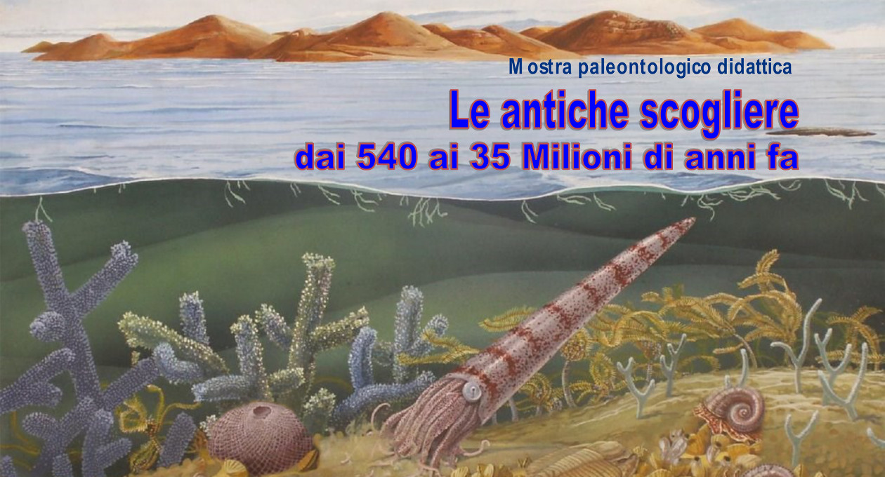 mostra le antiche scogliere