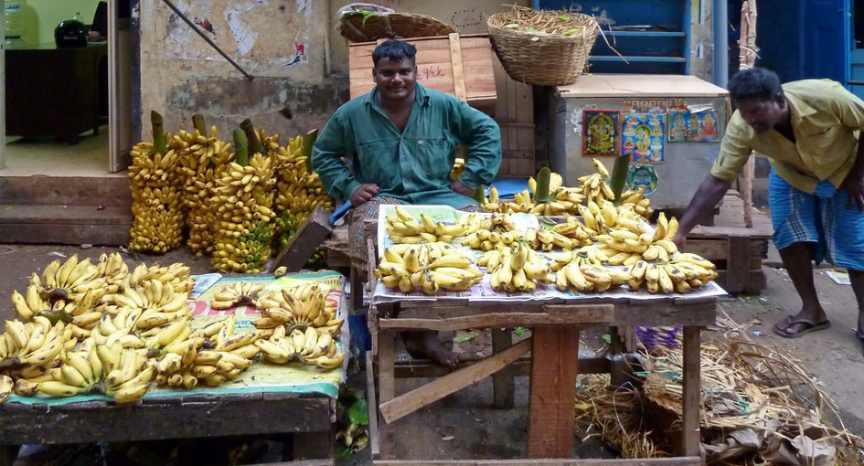 banane4growth