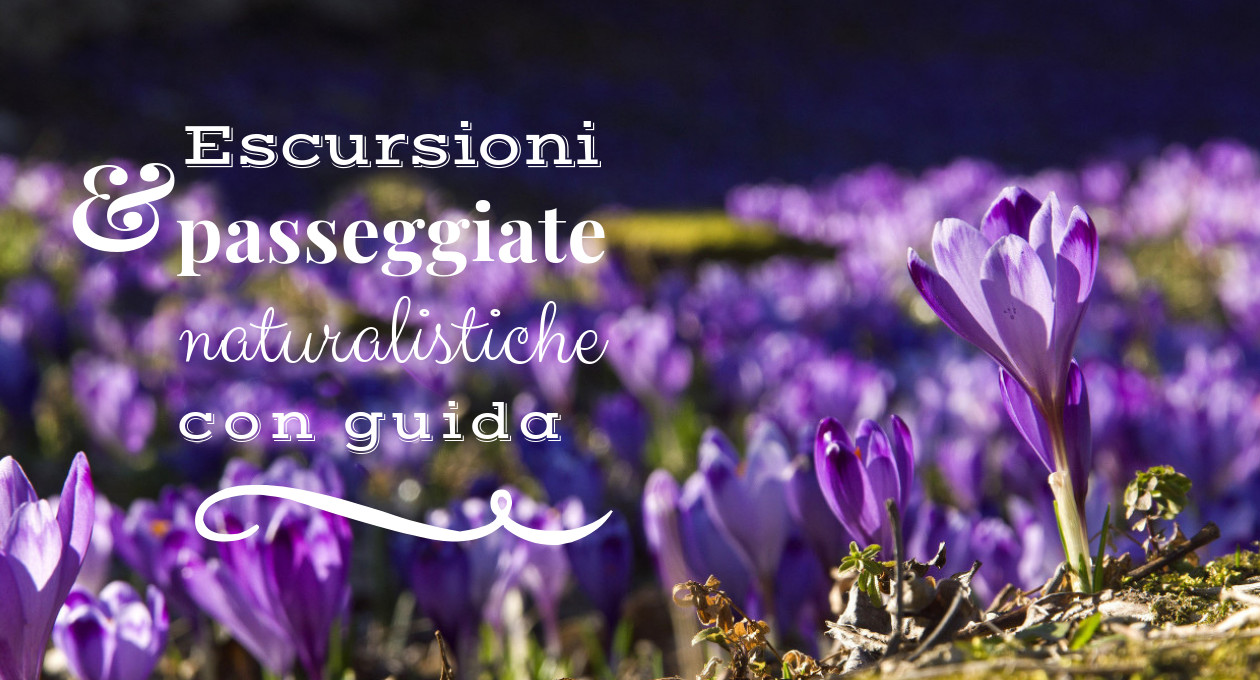Escursioni naturalistiche ForEst_primavera