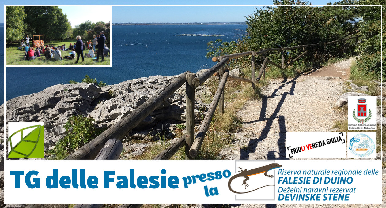 duino_tg falesie e visite guidate riserva falesie