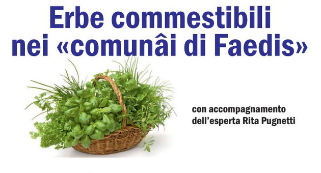 erbe commestibili