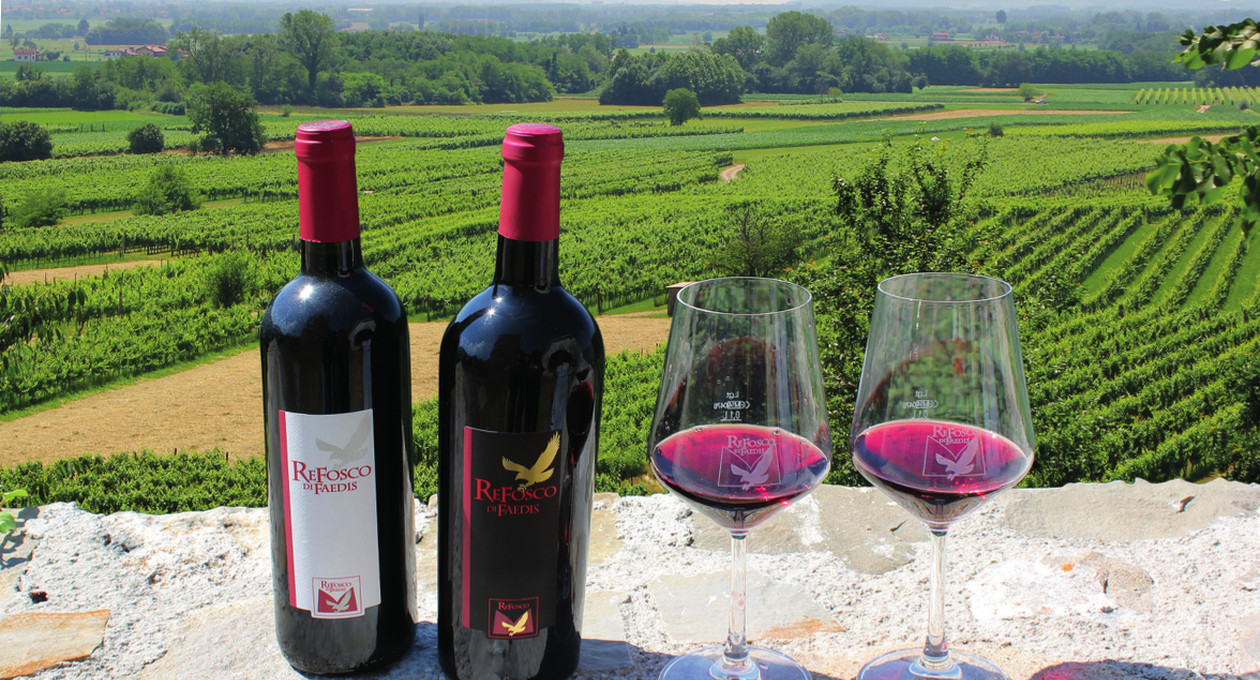 refosco-faedis 2018