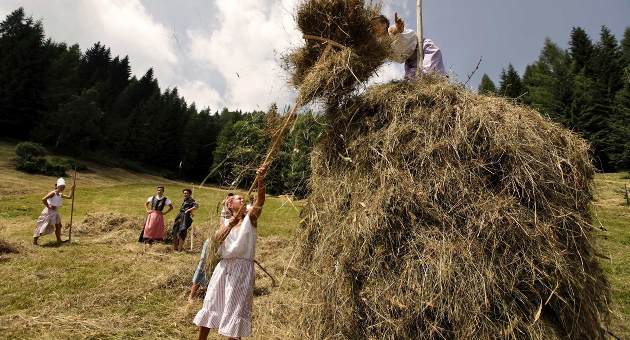 Carnia_Sutrio_Fasin la mede 01