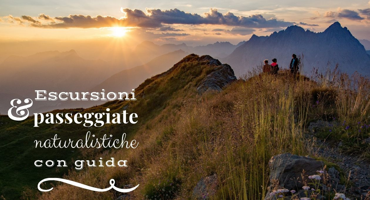 Escursioni estate 2019