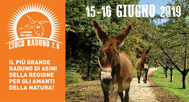 ciucoraduno 2019