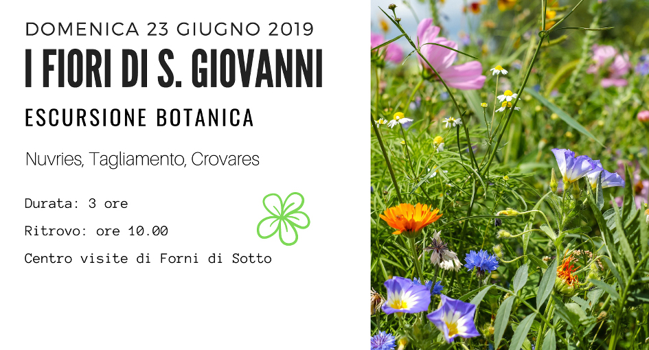 escursione-botanica