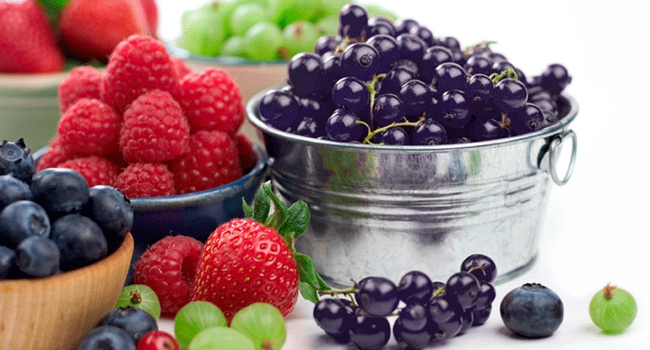 festa_frutti-bosco_forniavoltri_945