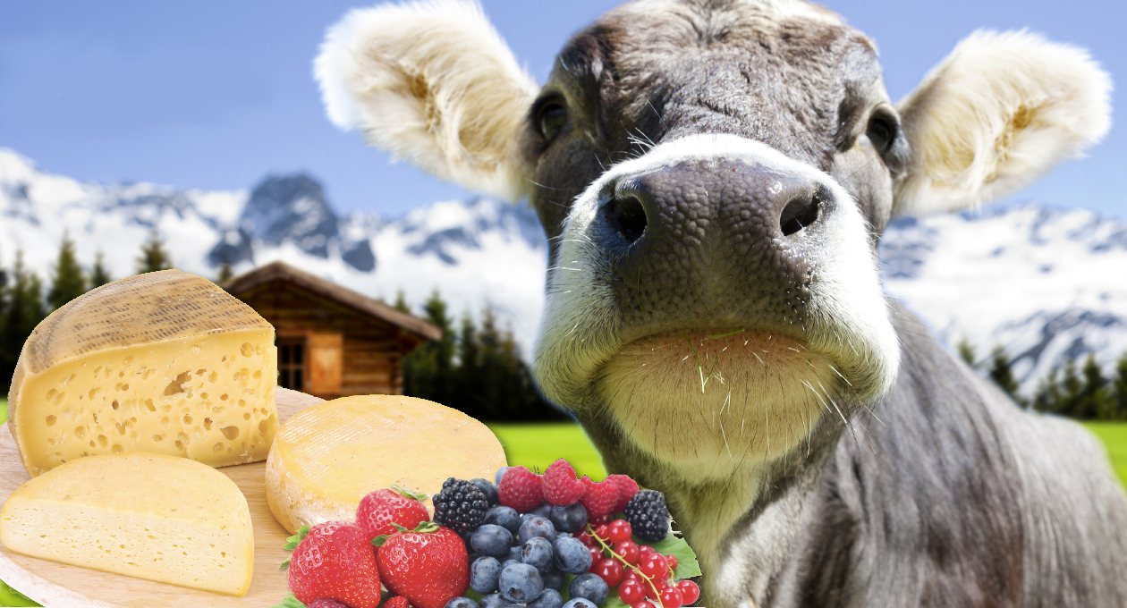sauris Festa del formaggio di malga e dei piccoli frutti
