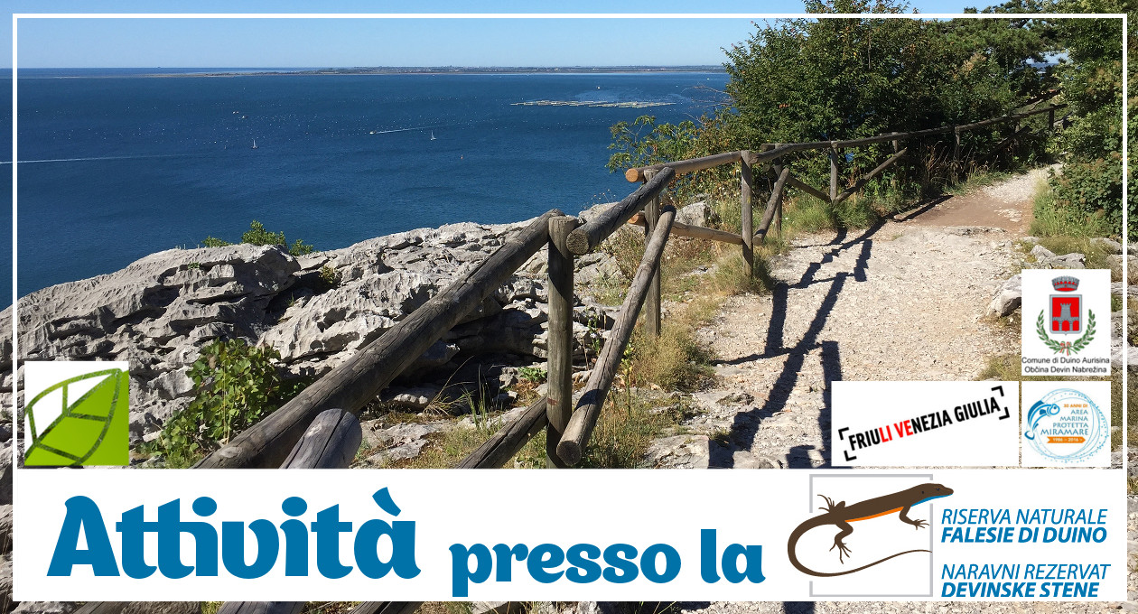 duino_visite guidate riserva falesie comune-wwf_aut 2019