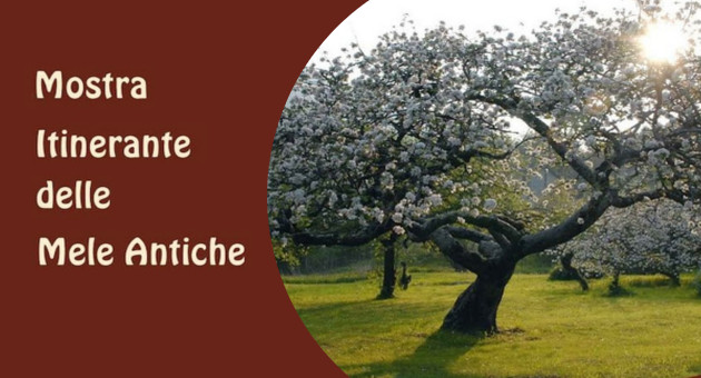 mostra mele antiche_b