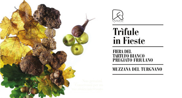 muzzana_trifule-in-fieste_fiera-del-tartufo-bianco
