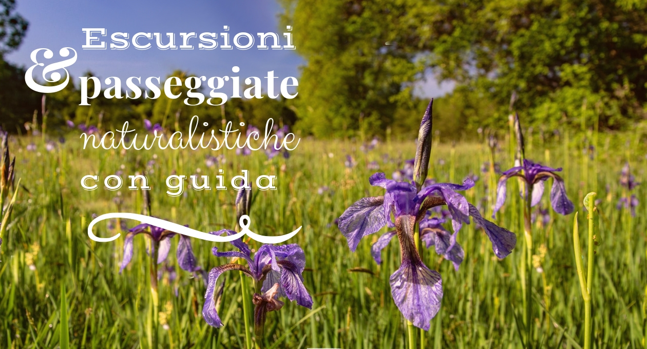 Escursioni primavera inoltrata