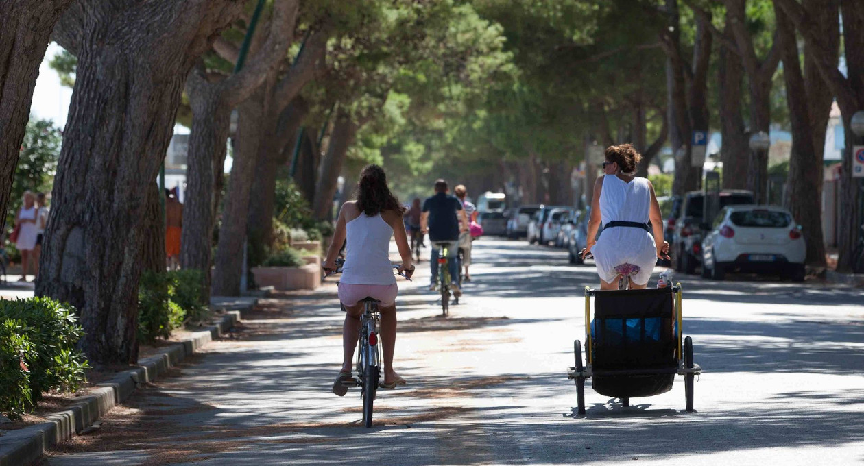 CREATOR: gd-jpeg v1.0 (using IJG JPEG v62), quality = 80