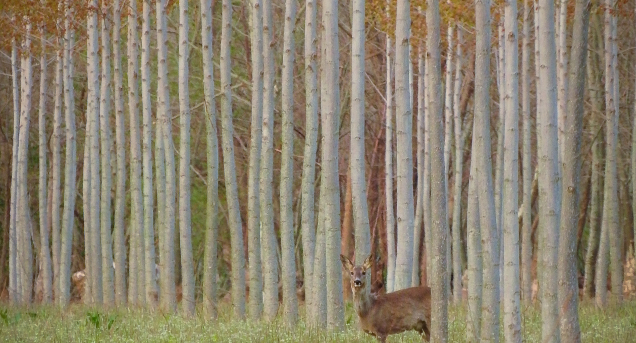 1_Paola - Toniutti - Incontri emozionanti