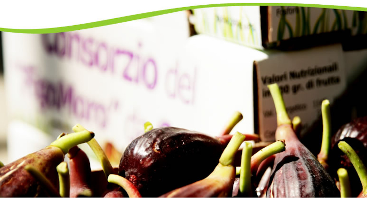 in-campagna-col-figomoro