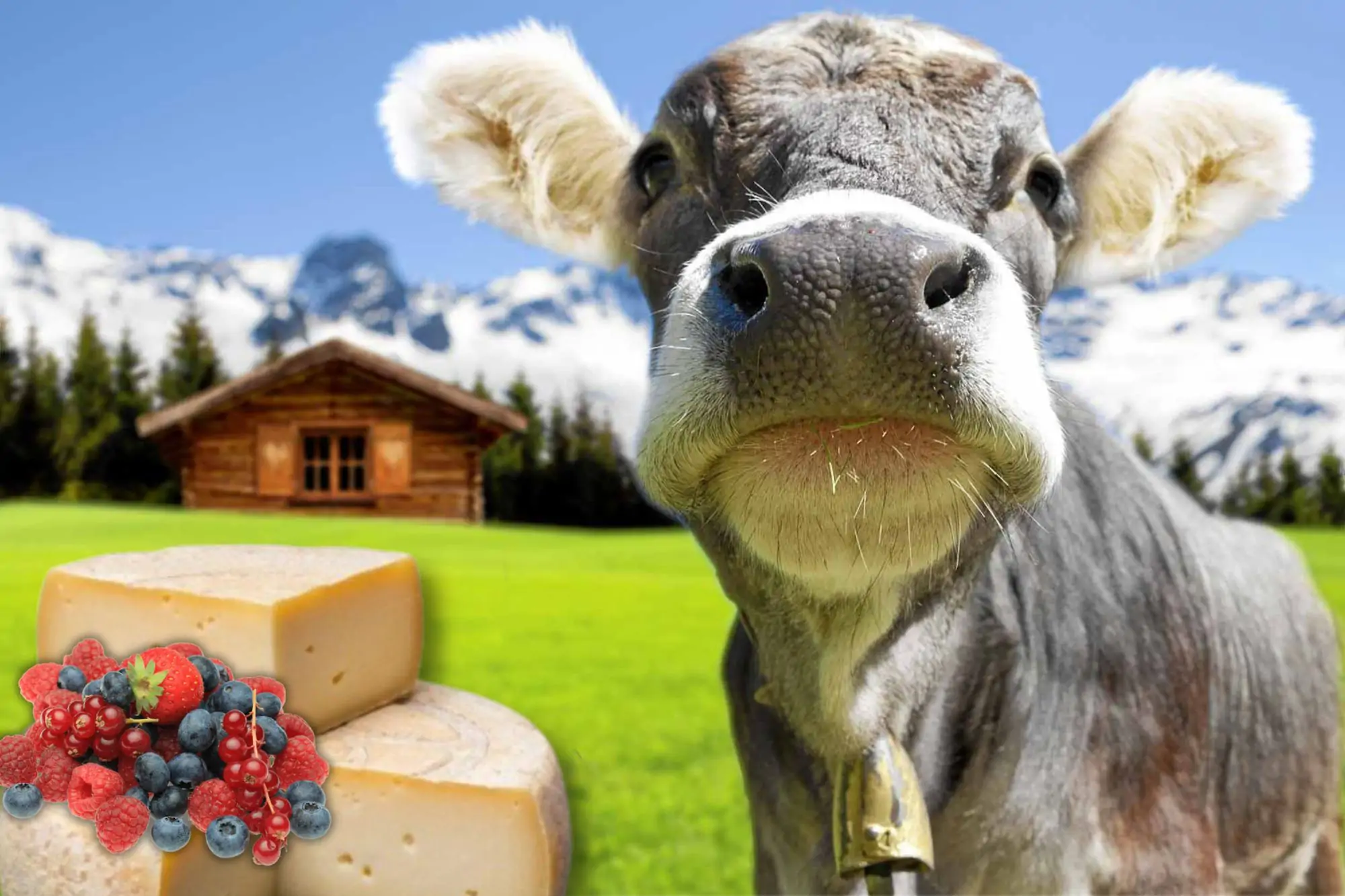 sauris Festa del formaggio di malga e dei piccoli frutti