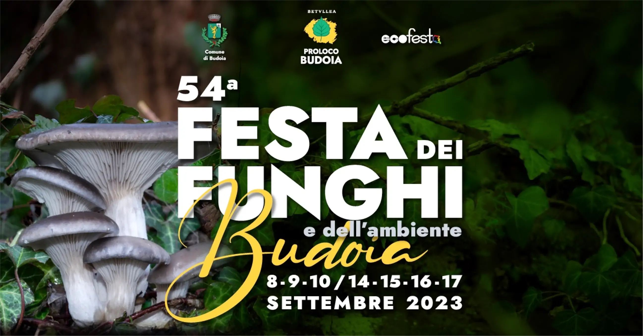 54ª Festa dei Funghi e dell'ambiente Budoia